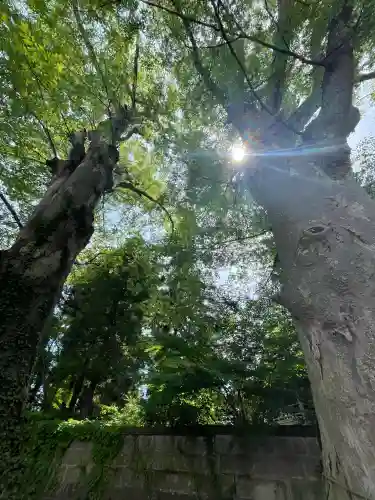 神炊館神社 ⁂奥州須賀川総鎮守⁂(福島県)