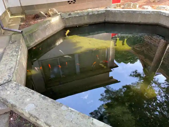 金華山黄金山神社(宮城県)