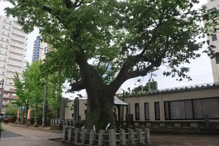阿邪訶根神社の自然