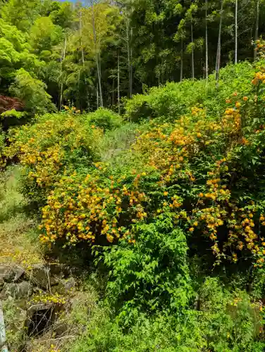 長法寺(京都府)