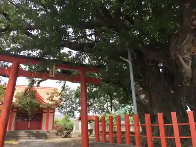 稲荷神社の鳥居