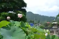 耕雲院(山梨県)