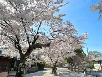 河脇神社(滋賀県)
