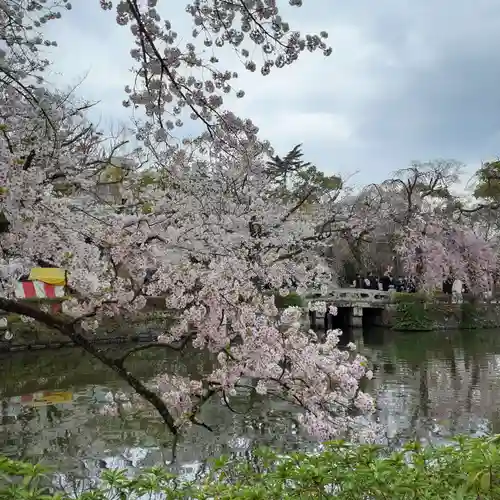 三嶋大社の庭園