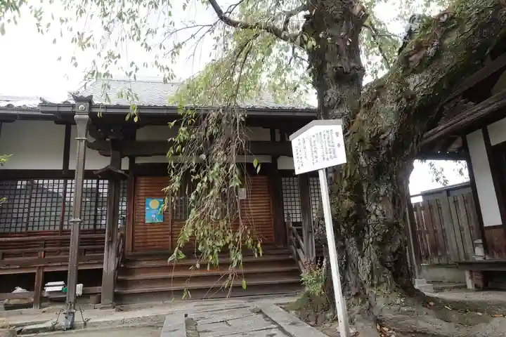 心念寺の本殿・本堂