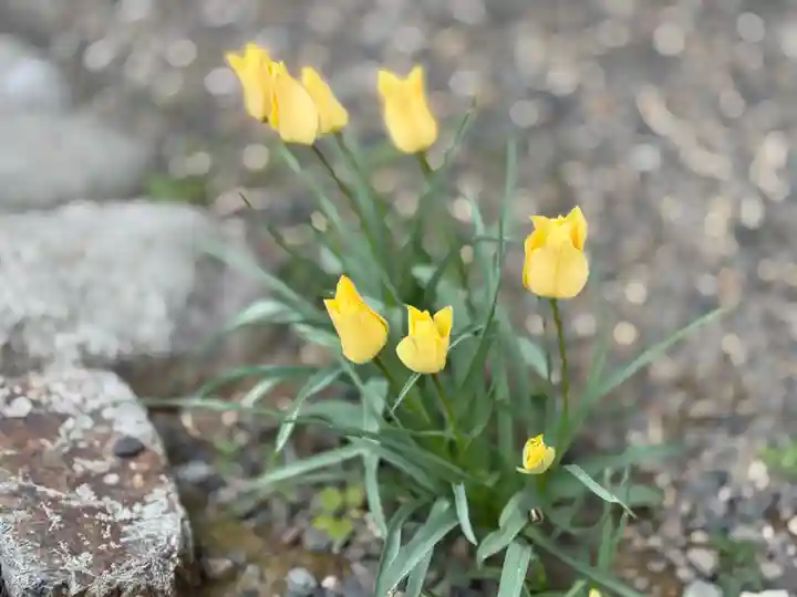 西方山極楽寺(岐阜県)