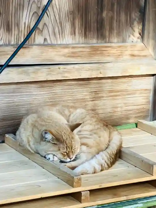 間々田八幡宮(栃木県)