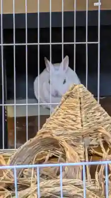 心光寺(大阪府)