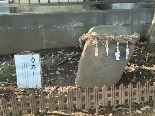 氷川女體神社(埼玉県)