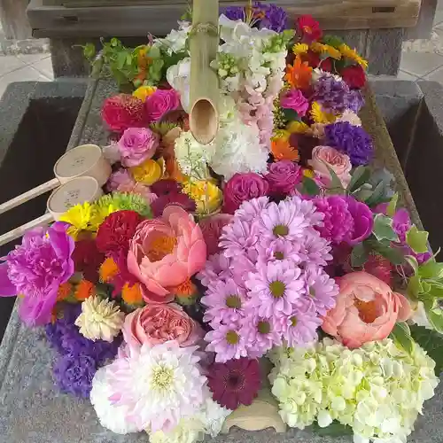 勝林寺の手水舎