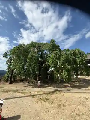 麻績神社(長野県)