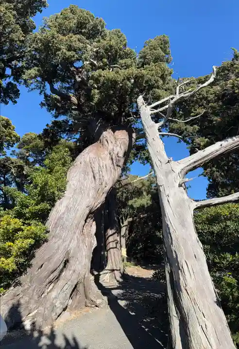 大瀬神社(静岡県)