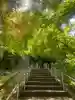 珍蔵寺 の{uncategorized: "未分類", other: "その他", undefined: "問題あり", building: "その他建物", grave: "お墓", sacred_gate: "鳥居", guardian: "狛犬", statue: "像", buddha: "仏像", history: "歴史", nature: "自然", garden: "庭園", animal: "動物", pagoda: "塔", temizu: "手水舎", mountain_gate: "山門・神門", sanctuary: "本殿・本堂", subordinate: "末社・摂社", art: "芸術", scenery: "景色", jizo: "地蔵", ema: "絵馬", goshuin: "御朱印", omikuji: "おみくじ", items: "授与品その他", amulet: "お守り", goshuincho: "御朱印帳", eats: "食事", festival: "お祭り", votive_dance: "神楽", shichigosan: "七五三参", wedding: "結婚式", experience: "体験その他", initially: "初詣", around: "周辺", anti_infection: "感染症対策"}