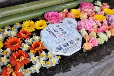 宗隆寺(神奈川県)