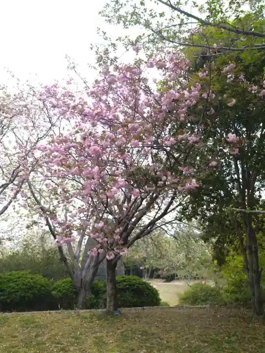 國鉾神社の自然