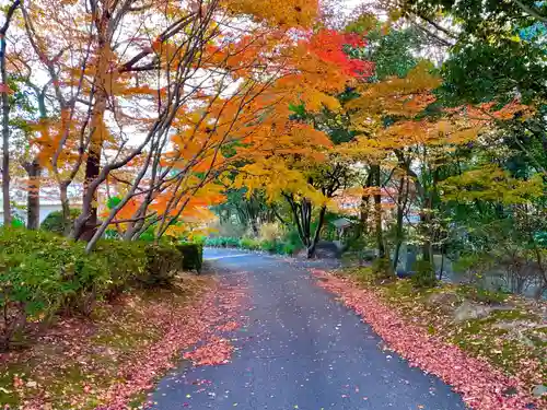 常楽寺(兵庫県)