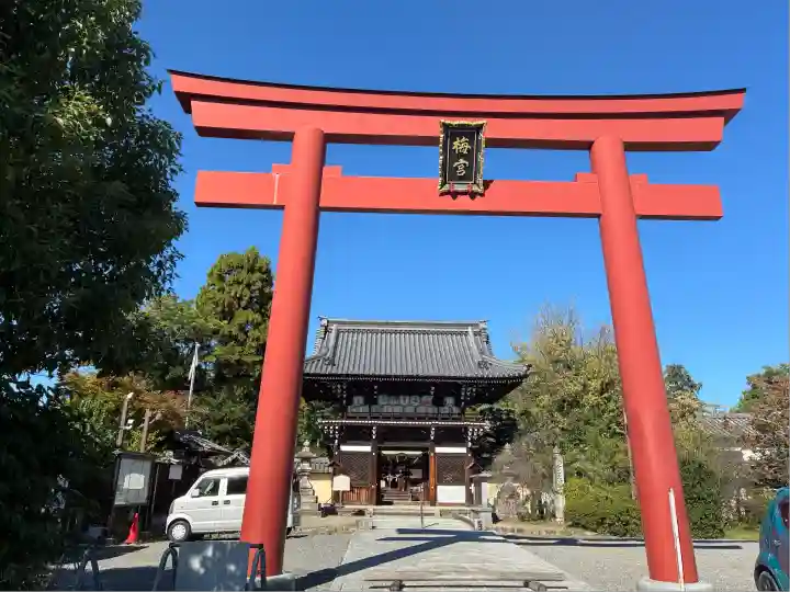 梅宮大社(京都府)