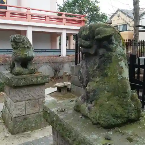 上平井天祖神社の狛犬