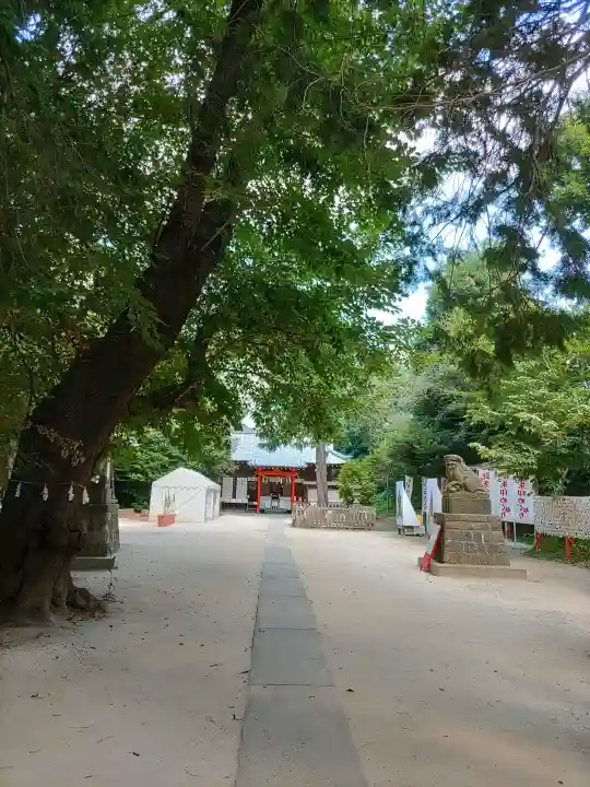 中山神社(埼玉県)