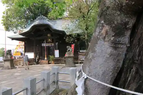 阿邪訶根神社の本殿・本堂