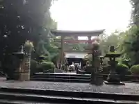 北口本宮冨士浅間神社の鳥居