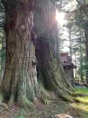 塩原八幡宮の自然