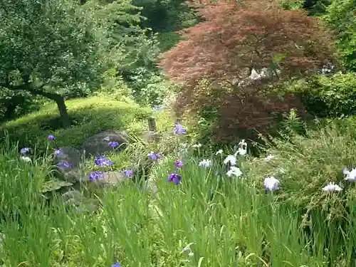 長谷寺の庭園