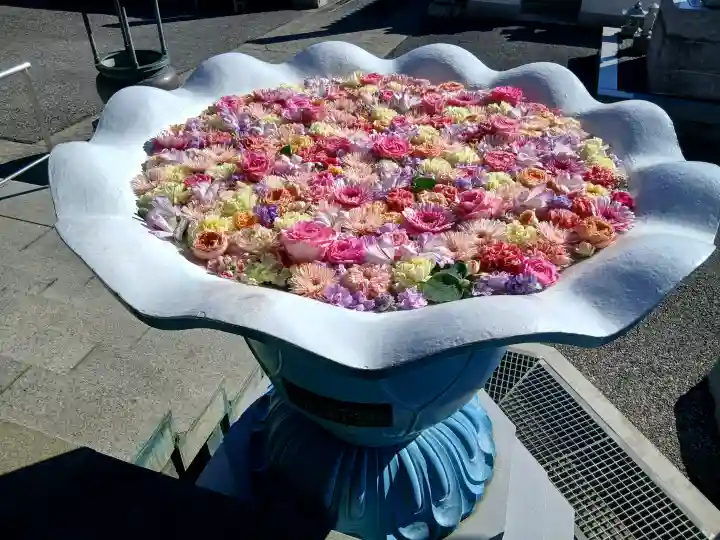 最明寺の{uncategorized: "未分類", other: "その他", undefined: "問題あり", building: "その他建物", grave: "お墓", sacred_gate: "鳥居", guardian: "狛犬", statue: "像", buddha: "仏像", history: "歴史", nature: "自然", garden: "庭園", animal: "動物", pagoda: "塔", temizu: "手水舎", mountain_gate: "山門・神門", sanctuary: "本殿・本堂", subordinate: "末社・摂社", art: "芸術", scenery: "景色", jizo: "地蔵", ema: "絵馬", goshuin: "御朱印", omikuji: "おみくじ", items: "授与品その他", amulet: "お守り", goshuincho: "御朱印帳", eats: "食事", festival: "お祭り", votive_dance: "神楽", shichigosan: "七五三参", wedding: "結婚式", experience: "体験その他", initially: "初詣", around: "周辺", anti_infection: "感染症対策"}