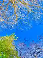 鹿島神社の自然