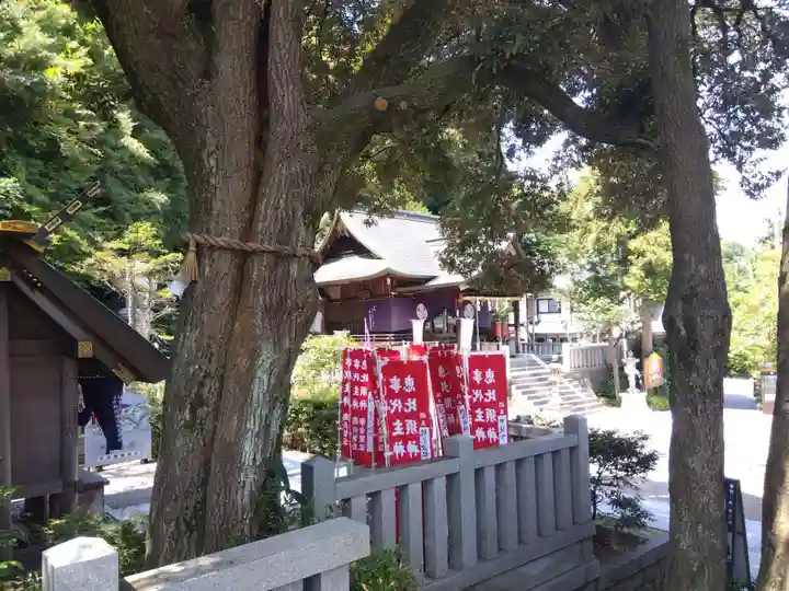毛谷黒龍神社(福井県)