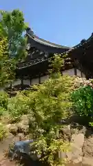 時宗総本山 遊行寺（正式：清浄光寺）の本殿