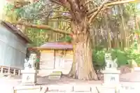 水神社(宮城県)