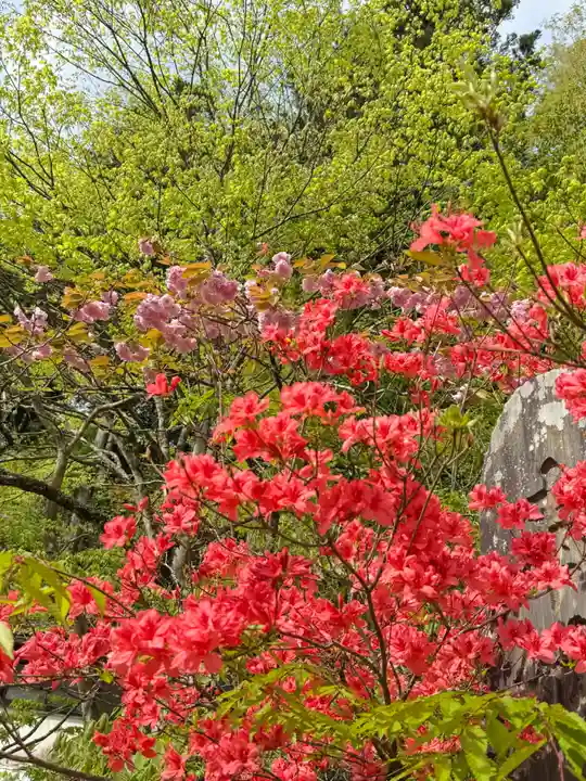 古峯神社の御朱印