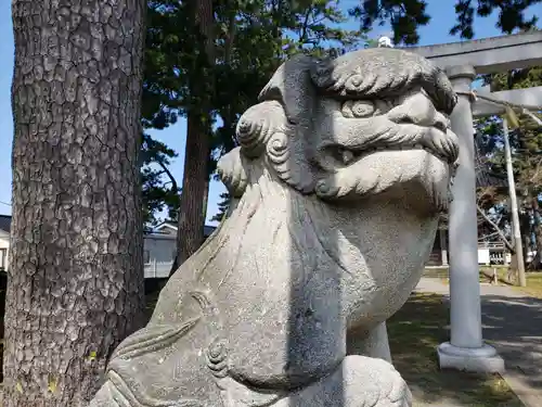 秋葉神社の狛犬