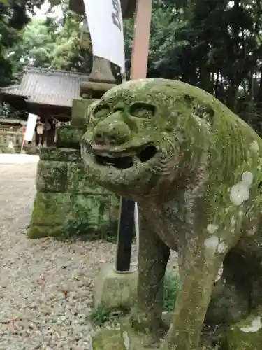 間々田八幡宮の狛犬