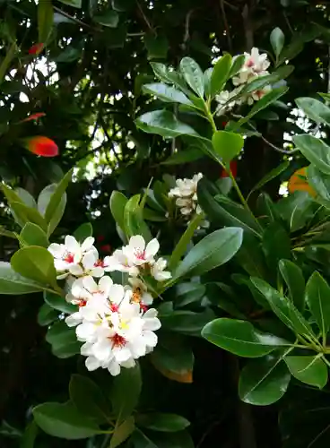 天津神社の自然
