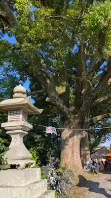 藤越神社(京都府)