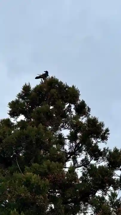 谷好稲荷神社(北海道)