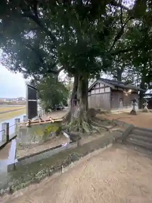 野口神社(奈良県)