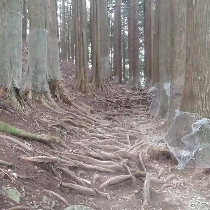 三峯神社奥宮(埼玉県)