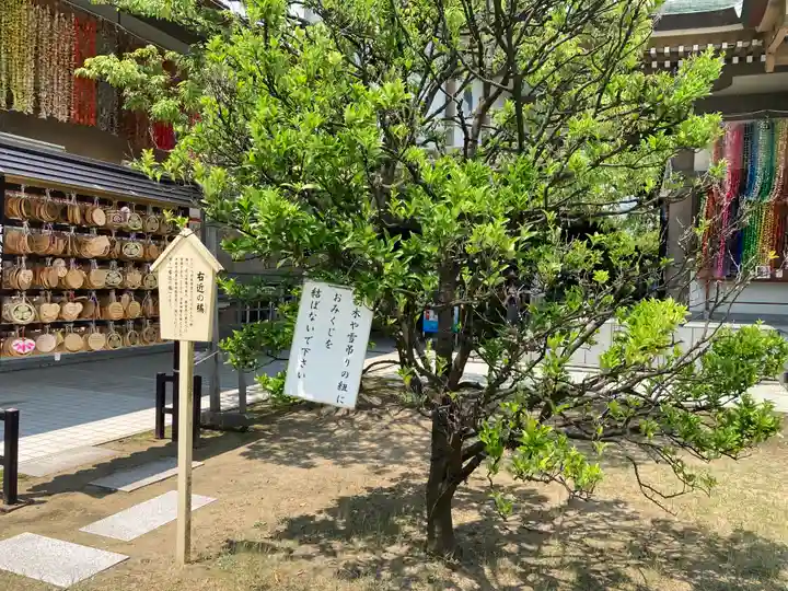 佐佳枝廼社(福井県)