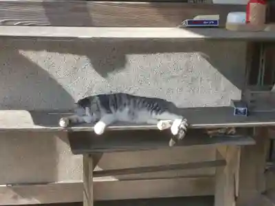 八大龍王本殿(岐阜県)