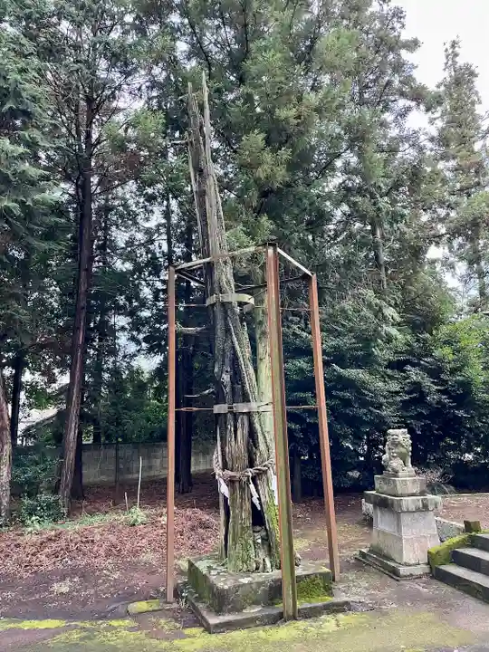 雷電神社(栃木県)