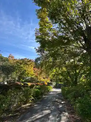 陽林寺(福島県)