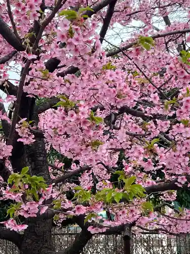 朝日氷川神社(埼玉県)