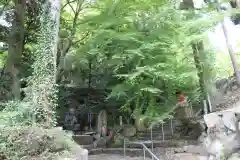 花山院菩提寺の建物その他