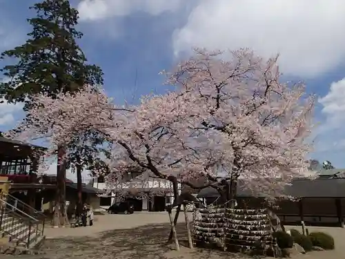 高麗神社の景色