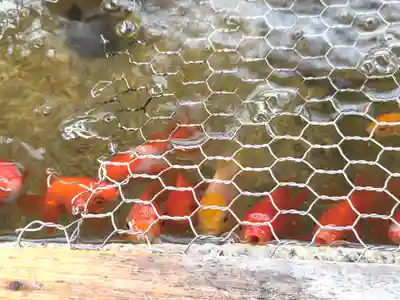 岸和田天神宮(大阪府)