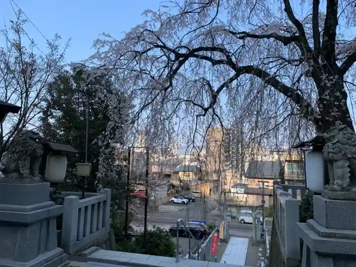 毛谷黒龍神社(福井県)