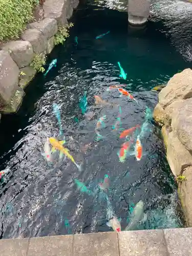 浅草寺(東京都)